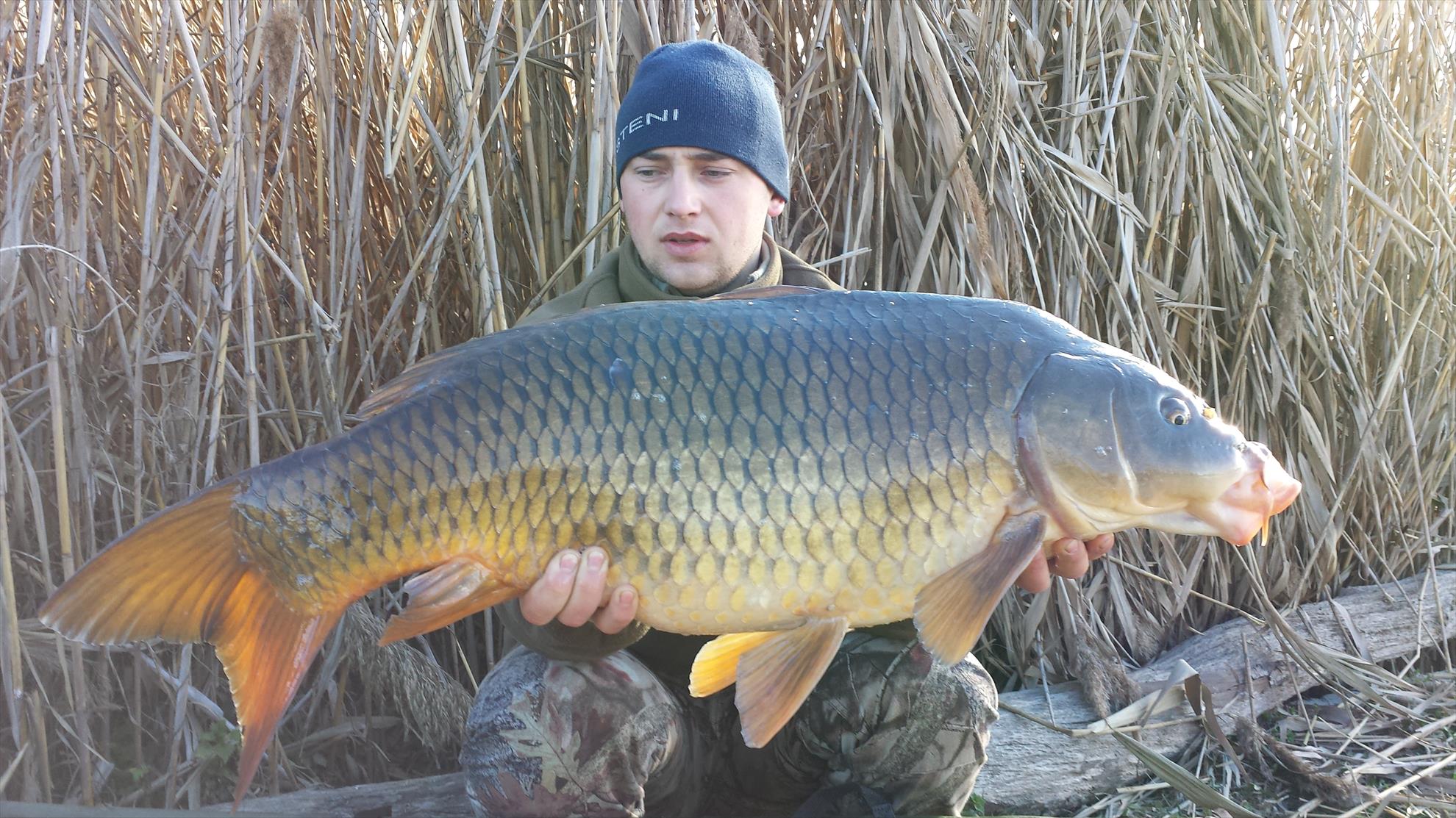 Tancabesti 14 - 16 mar. - 2014-03-16-083450.jpg